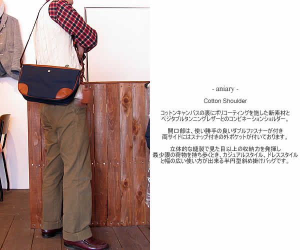 aniary�@(�A�j�A��)�@AC-03-01